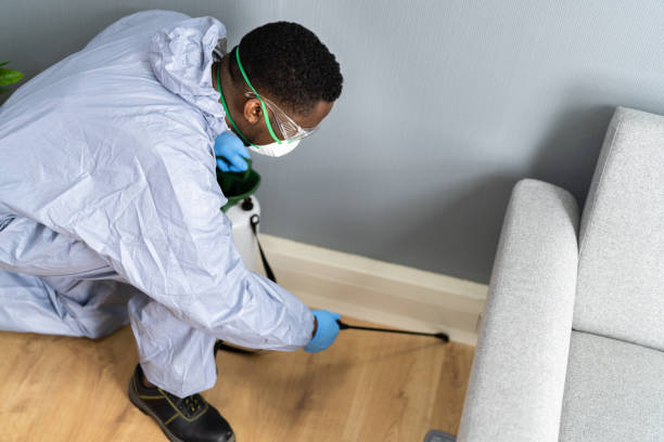 Best Real Estate Pest Inspections  in Oceanside, NY